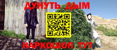 крисы Боровичи