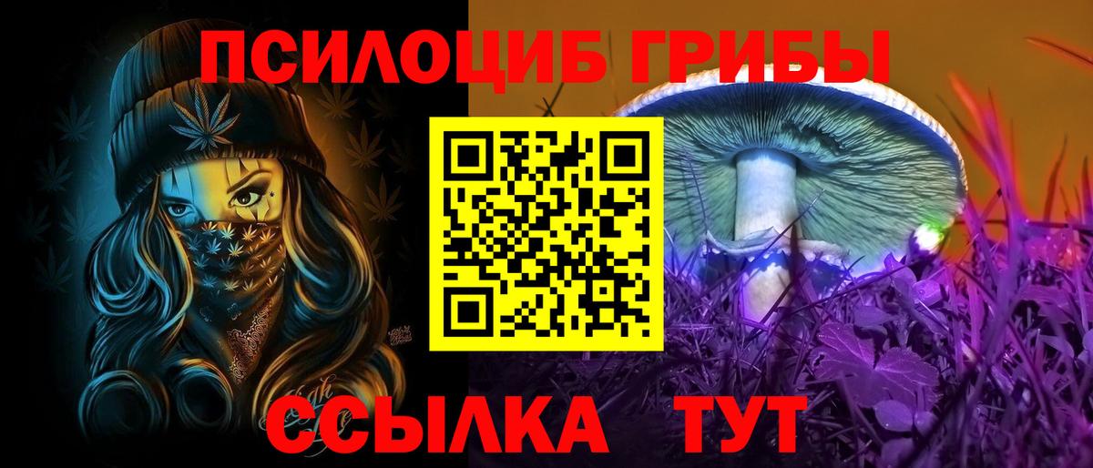 Псилоцибиновые грибы Cubensis Альметьевск